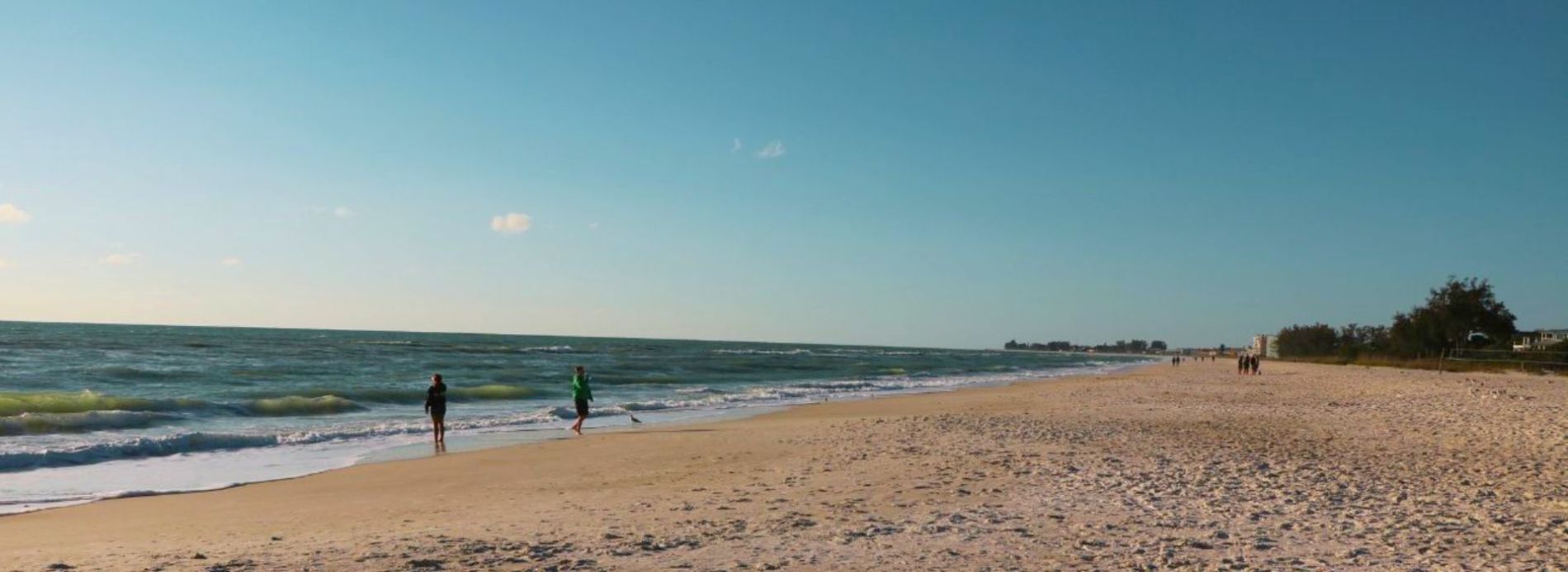 people on the beach