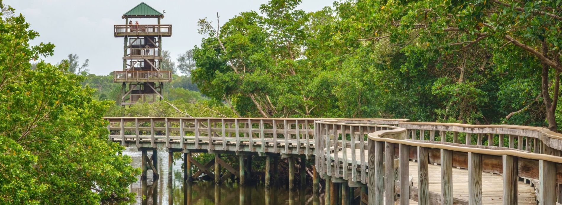 boardwalk and tower of Robinson Preserve