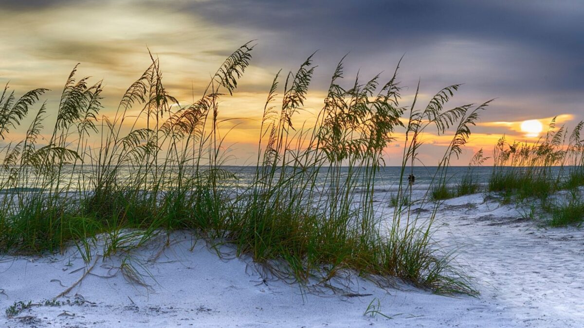 Beautiful sand dunes on Manatee Beach