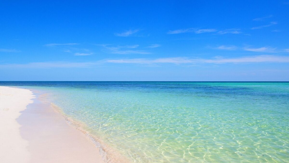 Visit Manatee Beach During Your Vacation | BeachRentals/Mobi