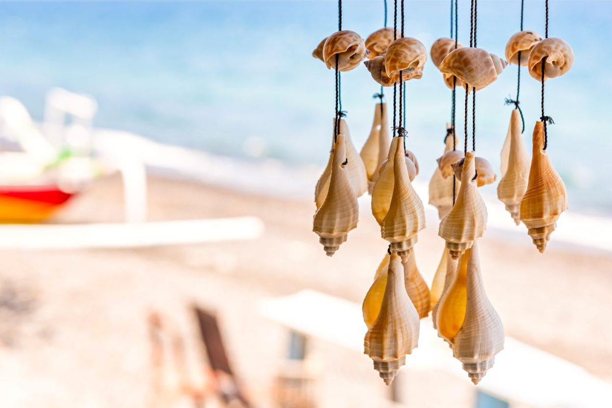 seashell souvenir